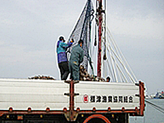 標津漁協
