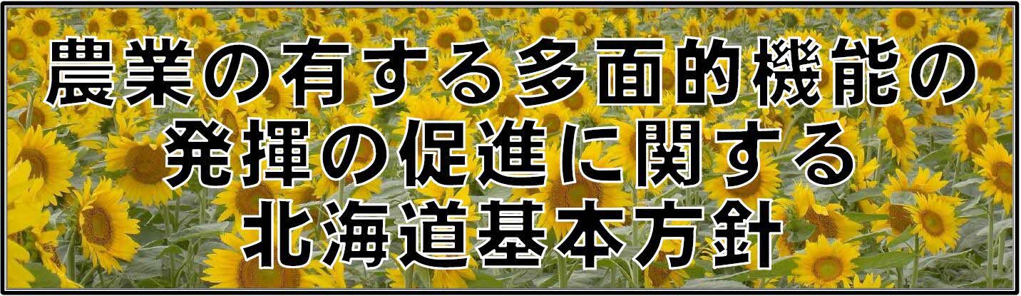 kihonhoushin.JPG