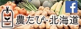 noutabibana.jpg