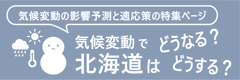 banner (PNG 16KB)