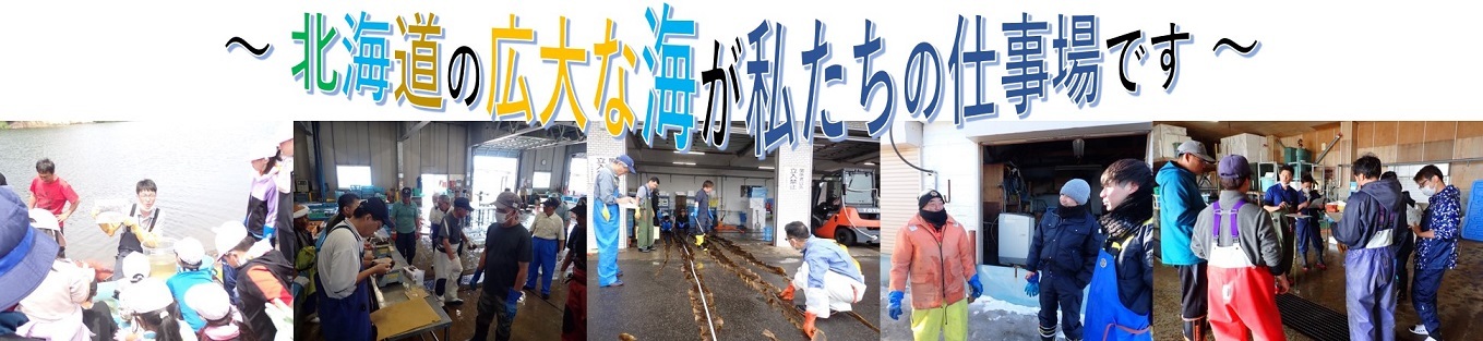 図1.jpg