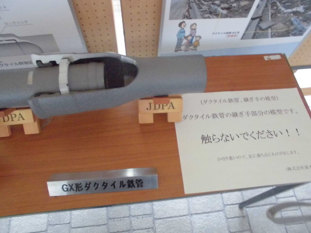 CIMG3778.JPG