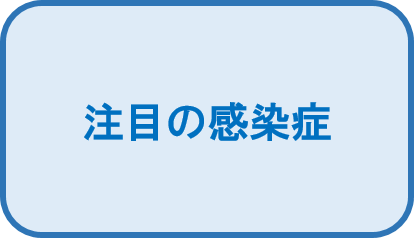 図2.png