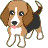 i-3.gif