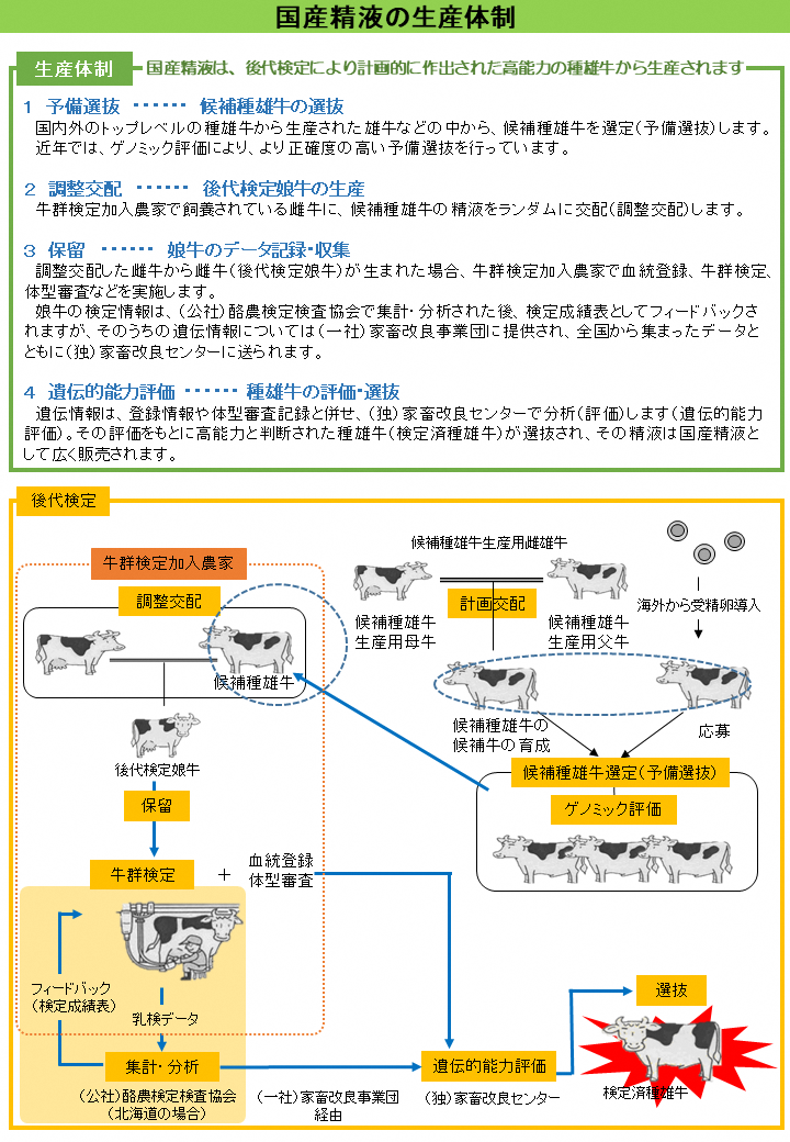 kokusanseiekinoseisantaisei.png