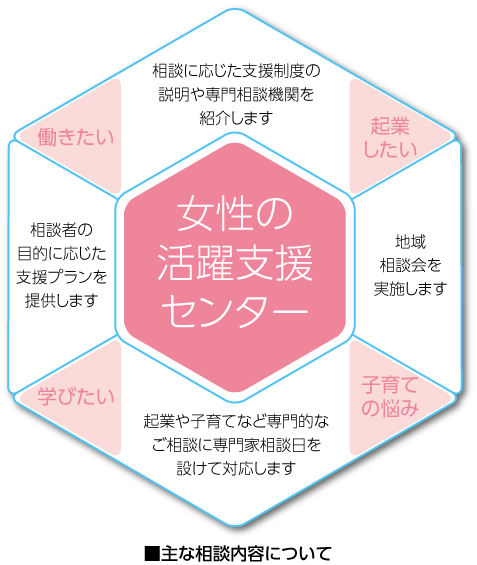 女性の活躍センター相談内容の図