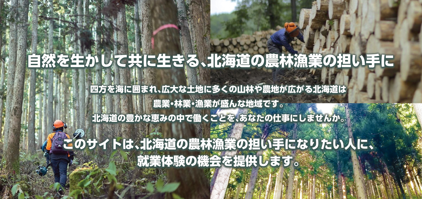 自然を生かして共に生きる、北海道の農林漁業の担い手に。四方を海に囲まれ、広大な土地に多くの山林や農地が広がる北海道は農業・林業・漁業が盛んな地域です。北海道の豊かな恵みの中で働くことを、あなたの仕事にしませんか。このサイトは、北海道の農林漁業の担い手になりたい人に、就業体験の機会を提供します。